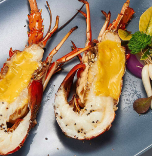 渔泊湾冷冻毛里塔尼亚活冻小青龙200300454g2只装