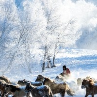 北京-木兰围场-乌兰布统草原-公主湖3天2晚 纯玩跟团游（含越野）