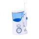 waterpik 洁碧 WP-100E2 洁牙器