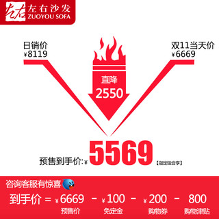 ZUOYOU 左右傢俬 3105 功能靠头储物沙发