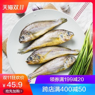 凌鲜 舟山野生单冻小黄鱼 (1kg)