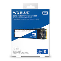 WD 西部数据 蓝盘 WDS250G2B0B M.2 SATA 固态硬盘 250GB