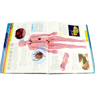《DK儿童人体百科全书》（彩图精装）