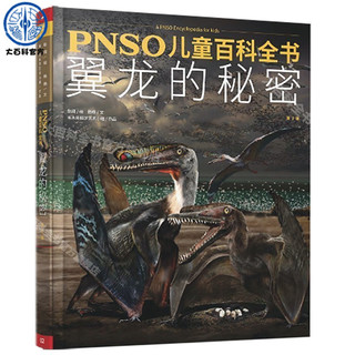 《PNSO儿童百科全书·翼龙的秘密