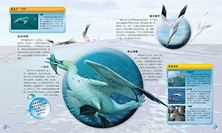 《DK生物大揭秘：海洋生物》