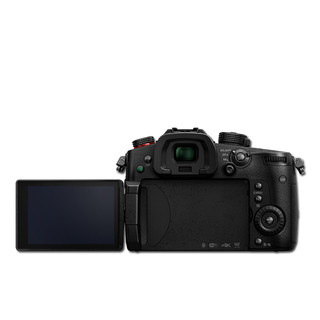 Panasonic 松下 LUMIX GH5S M4/3画幅 微单相机 黑色 100-300mm F4 II POWER OIS 变焦镜头 单头套机