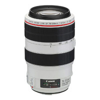 Canon 佳能 EF 70-300mm F/4-5.6L IS USM 远摄变焦镜头 佳能EF卡口 67mm