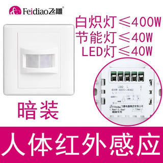 FEIDIAO 飞雕 LED声光控开关