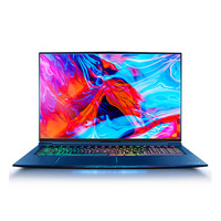 MACHENIKE 机械师  F117 FP6 17.3英寸笔记本电脑(星邃蓝 星空蓝、英特尔 酷睿 i7-8750H、8GB、256G SSD +1T、