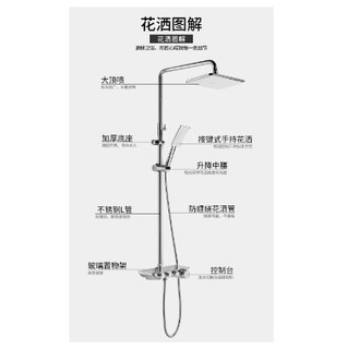 SSWW 浪鲸卫浴 EFT13536 多功能不锈钢花洒套装