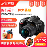 Nikon 尼康 D5300 APS-C画幅数码单反相机套机（18-55mm镜头）