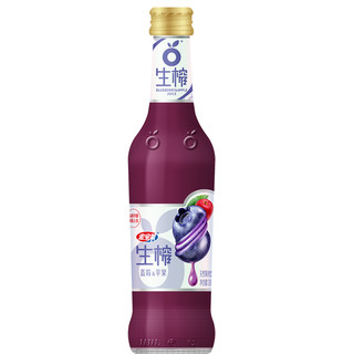  宏宝莱 蓝莓汁饮品 300ml*12