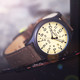 京东PLUS会员、历史低价：TIMEX 天美时 T49963 男士时装腕表