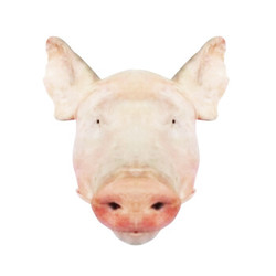 精气神 长白山山黑猪 猪头 4.3kg/袋（1个）