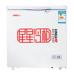 星星（XINGX） 140升 家用小冰柜 冷冻冷藏转换冷柜 单温冰箱 安全门锁 顶开门 BD/BC-140E