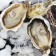 Oyster feast 蠔门盛宴 法国安芝莲生蚝 鲜活 N1 12只