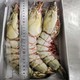 真香：海拉戈 缅甸大虎虾 1kg 3只装