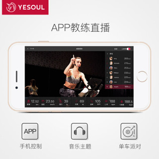 YESOUL 野小兽 N1-蓝牙 家用动感单车