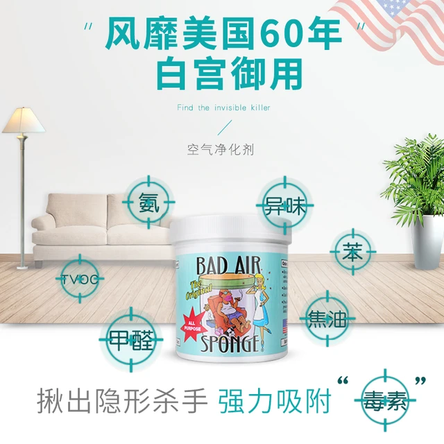 BAD AIR SPONGE 甲醛异味净化剂 400g