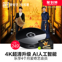 爱奇艺 17R1 季卡版 电视果4K智能电视盒子（8G、WIFI HDMI USB、黑色）