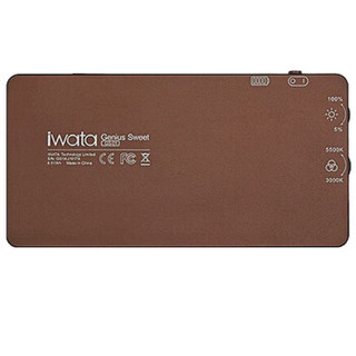  Iwata LED GS-01 摄像灯 棕色