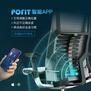  Ergonor 保友办公家具 pofit 智能电脑椅