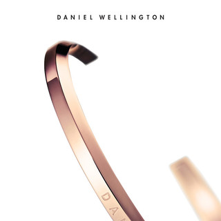 DanielWellington 丹尼尔惠灵顿 DW00400001 手表配饰手镯