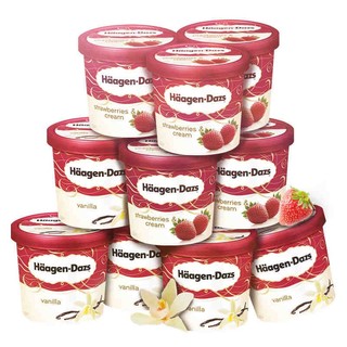 Häagen·Dazs 哈根达斯 冰淇淋 多口味 100ml*10杯