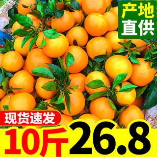 福瑞达 新鲜脐橙 10kg