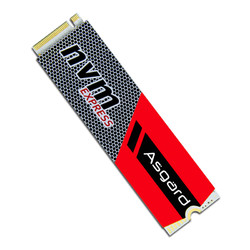 Asgard 阿斯加特 AN系列 M.2 NVMe 固态硬盘 256GB 