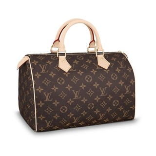 LOUIS VUITTON 路易威登 SPEEDY 30 中号女士手提包