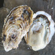 山东特产 新鲜威海乳山牡蛎 10斤