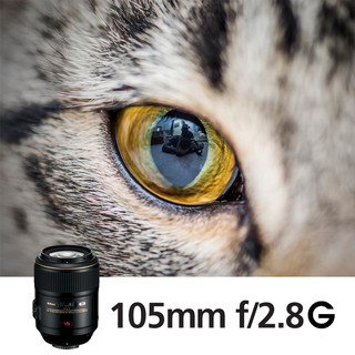 Nikon 尼康 AF-S VR 微距尼克尔 105mm F2.8G IF-ED 全画幅微距镜头