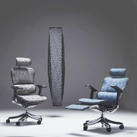 Ergonor 保友办公家具 金豪+精英版 人体工学电脑椅