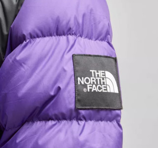  THE NORTH FACE 北面 1992 Nuptse 黑标复刻 700蓬 男士羽绒服