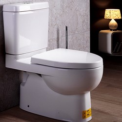 KOHLER 科勒 k-19114t/19115t 五级旋风分体座便器