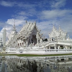 泰国清莱白庙+绿色有机茶园1日游（酒店接送+中文导游+午餐）