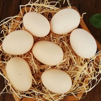 森林家园 新鲜土鸡蛋 20枚
