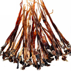 自耕农五步蛇鞭1副