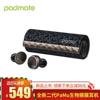  Padmate 派美特 PaMu scroll T3 真无线蓝牙耳机 (星空黑)