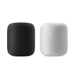 Apple 苹果 HomePod 智能音箱 New Other