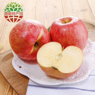 秦渭 陕西特产 白水苹果 (普通装22个、5kg)
