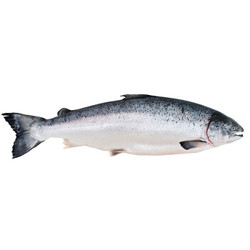 冰鲜 Gfresh 智利三文鱼整条 5-6kg 1条 可刺身 海鲜水产 *3件