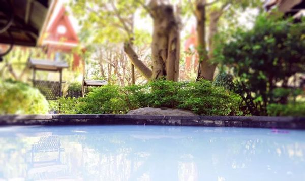 四季恒春，避世度假，邂逅中国第五家Angsana！开业预售 西双版纳悦椿温泉度假酒店1晚套餐