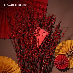 Flowerplus 花加红色银柳枝新年装饰 什么值得买 Flowerplus 花加红色银柳枝新年装饰 什么值得买