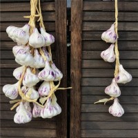 好韵 仿真植物挂串 多款可选
