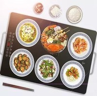 众辰 FNC-250 饭菜保温板