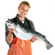 猫二郎 智利进口冰冻大西洋鲑鱼 三文鱼整条 12-13斤
