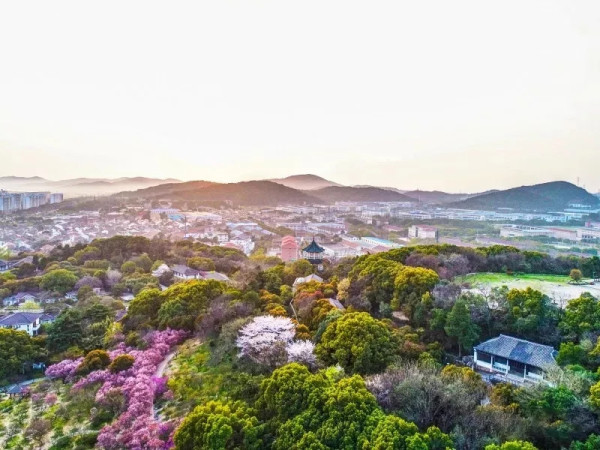 5000株梅海美爆！30分钟车程睡进太湖畔法式双子塔酒店！无锡新湖铂尔曼酒店2晚度假套餐