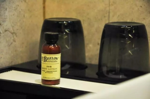 5000株梅海美爆！30分钟车程睡进太湖畔法式双子塔酒店！无锡新湖铂尔曼酒店2晚度假套餐